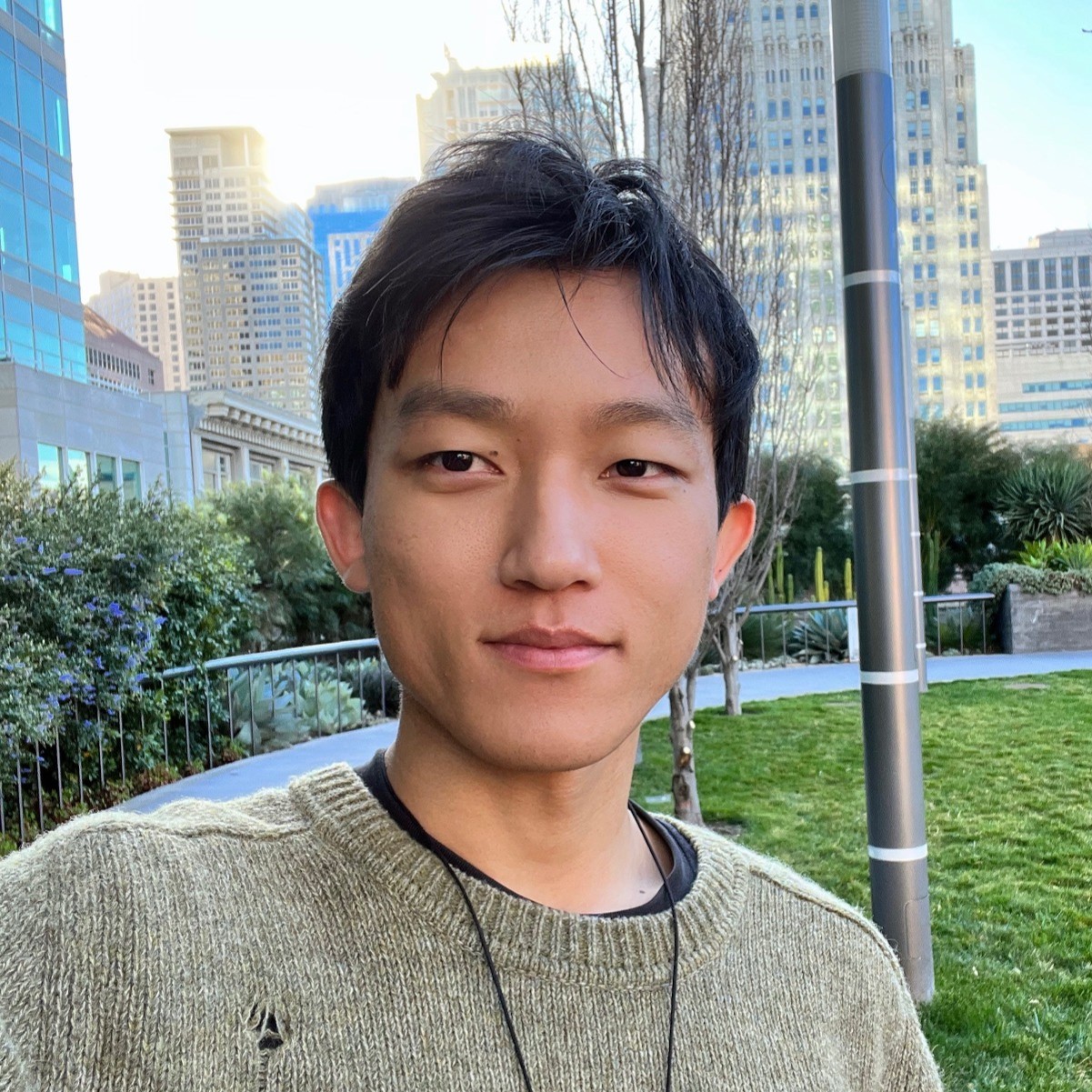 Luofei Chen